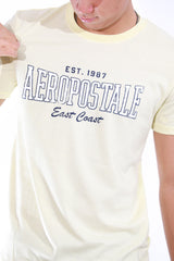 Camiseta Para Hombre Aero Level 1 Graphics Yellow Mist 3572