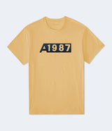 Camiseta Para Hombre Aero Level 1 Graphic Tees Inca Gold 7441