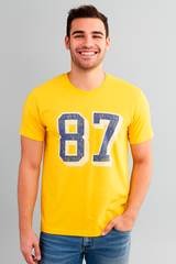 Camiseta Para Hombre Aero Level 1 Graphic Tees Brigth Gold 6216