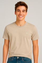 Camiseta Para Hombre Aero Guys SS Tees Khaki 4245