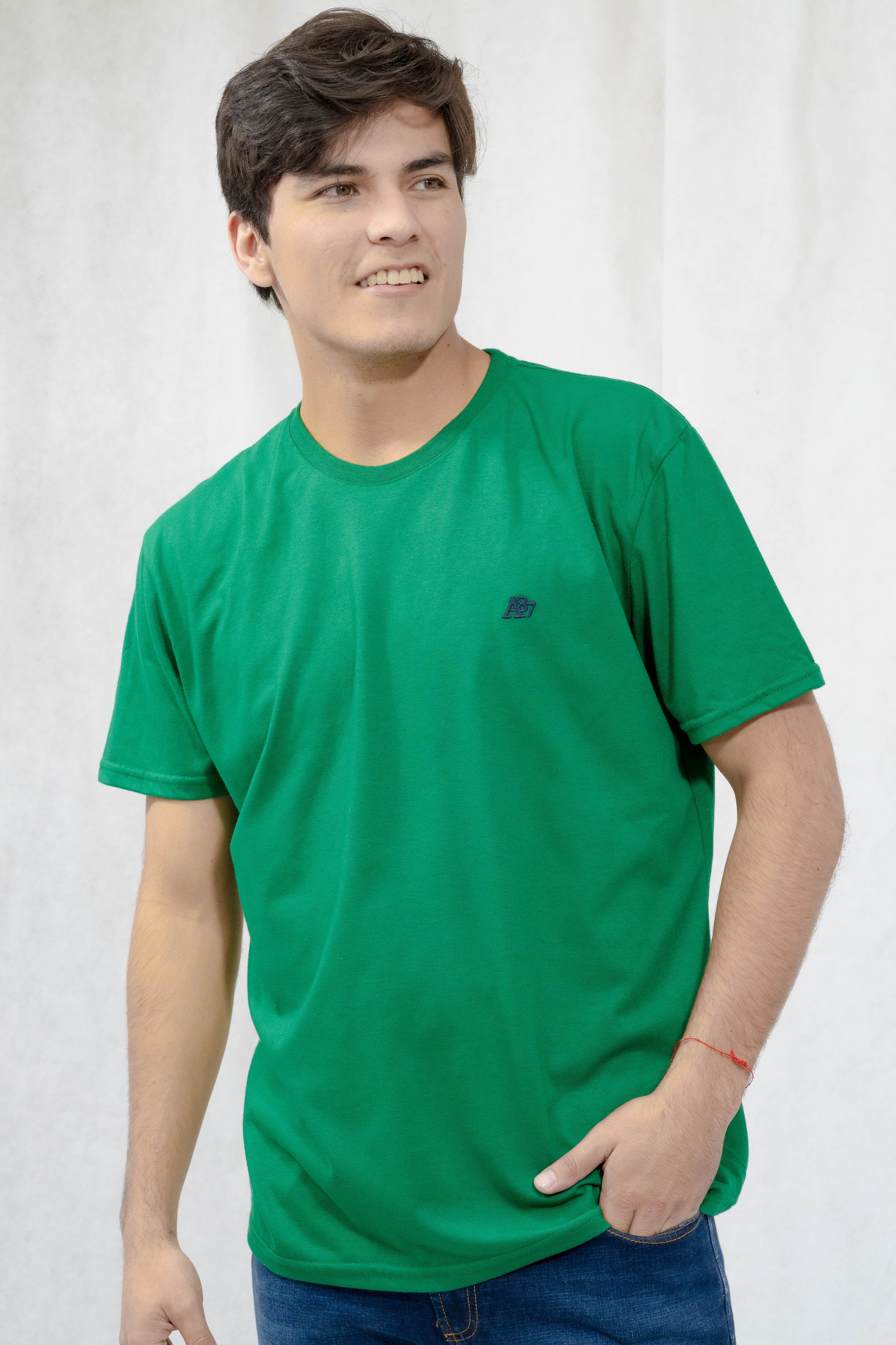 Camiseta Basica Para Hombre Guys Ss Tees Aero Guys Ss Tees Village Green Green 3089