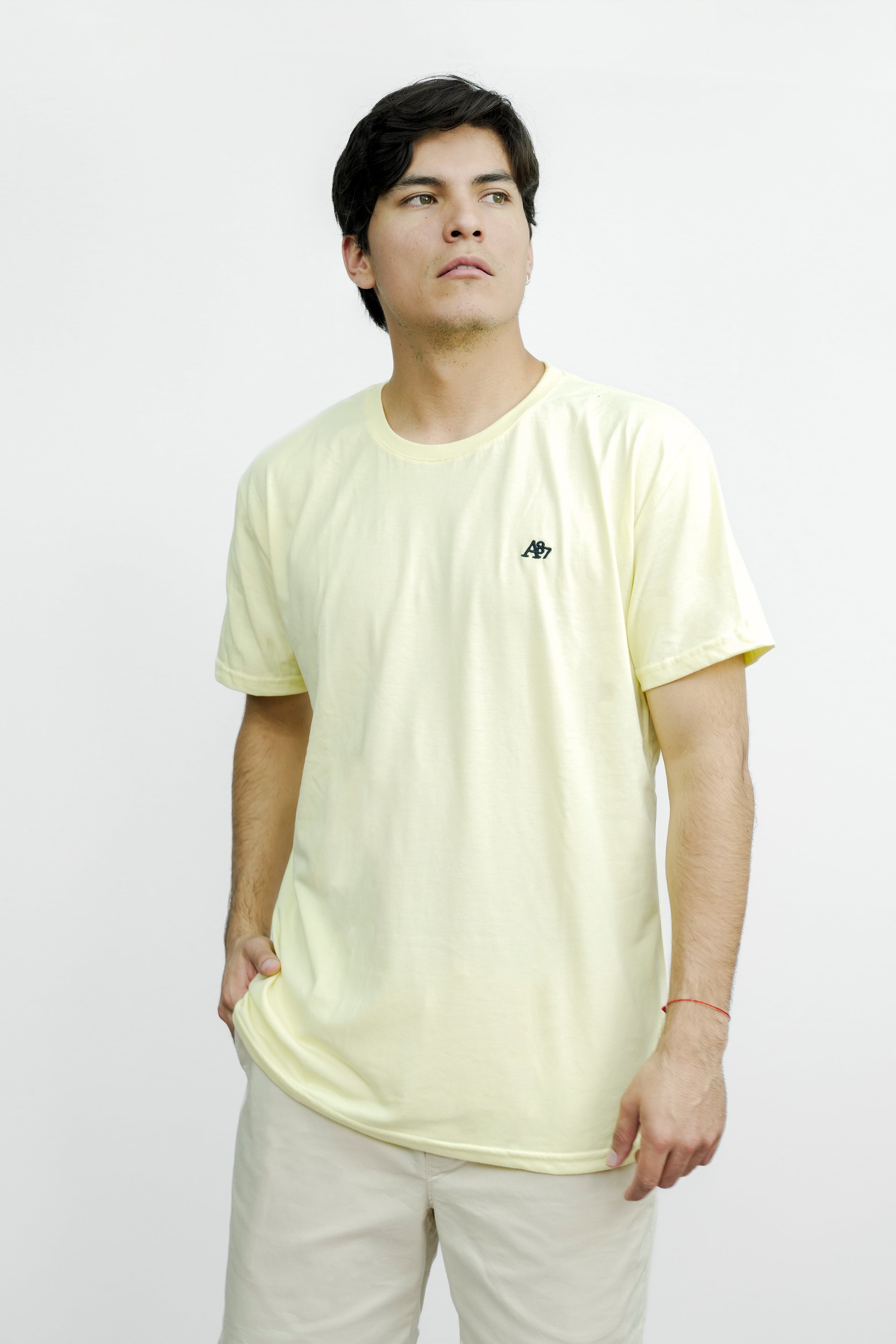 Camiseta Basica Para Hombre Guys Ss Tees Aero Guys Ss Tees Sunlight Sunlight 4240