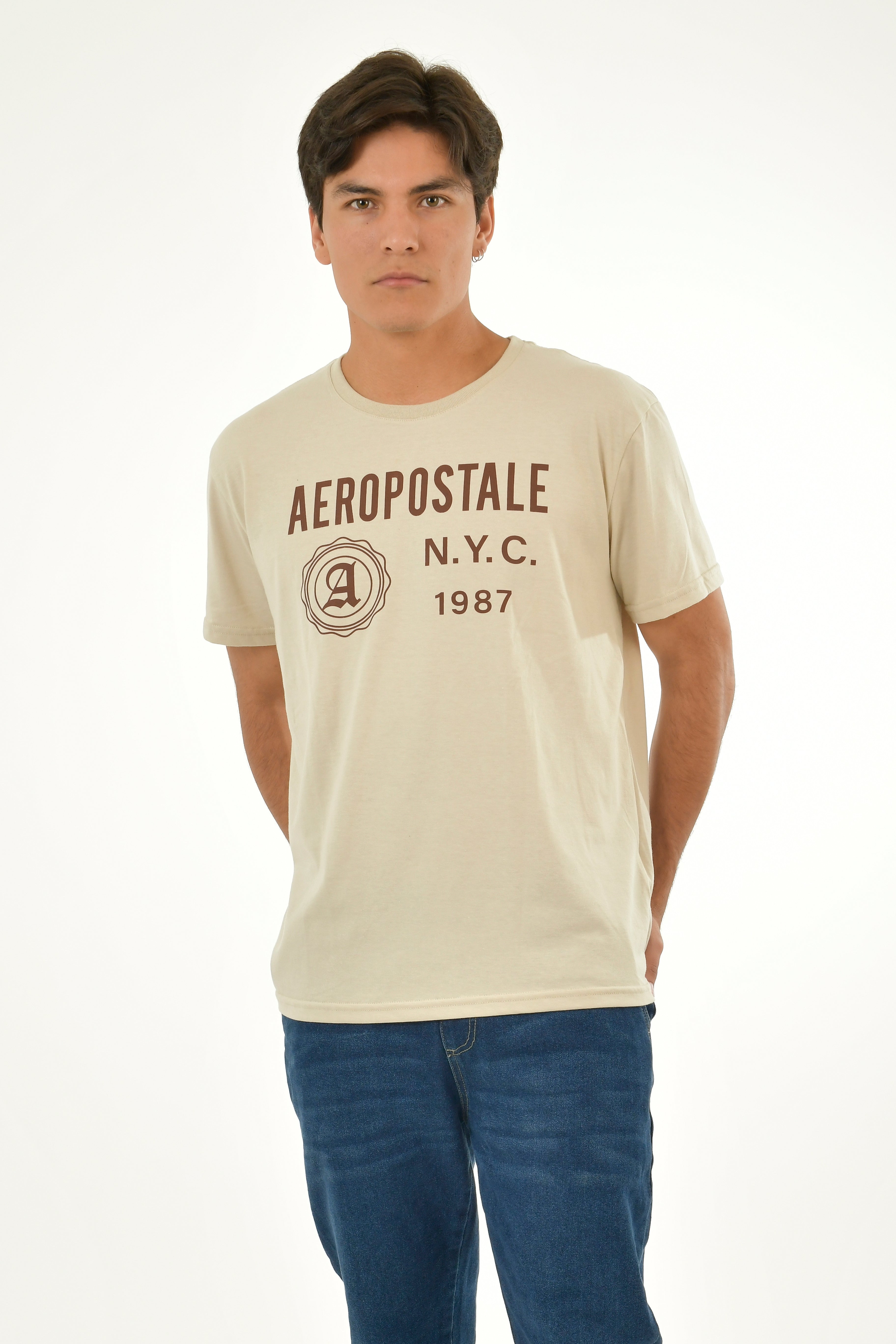 Camiseta Para Hombre Aero Level 1 Graphic Tees Tofu 3823