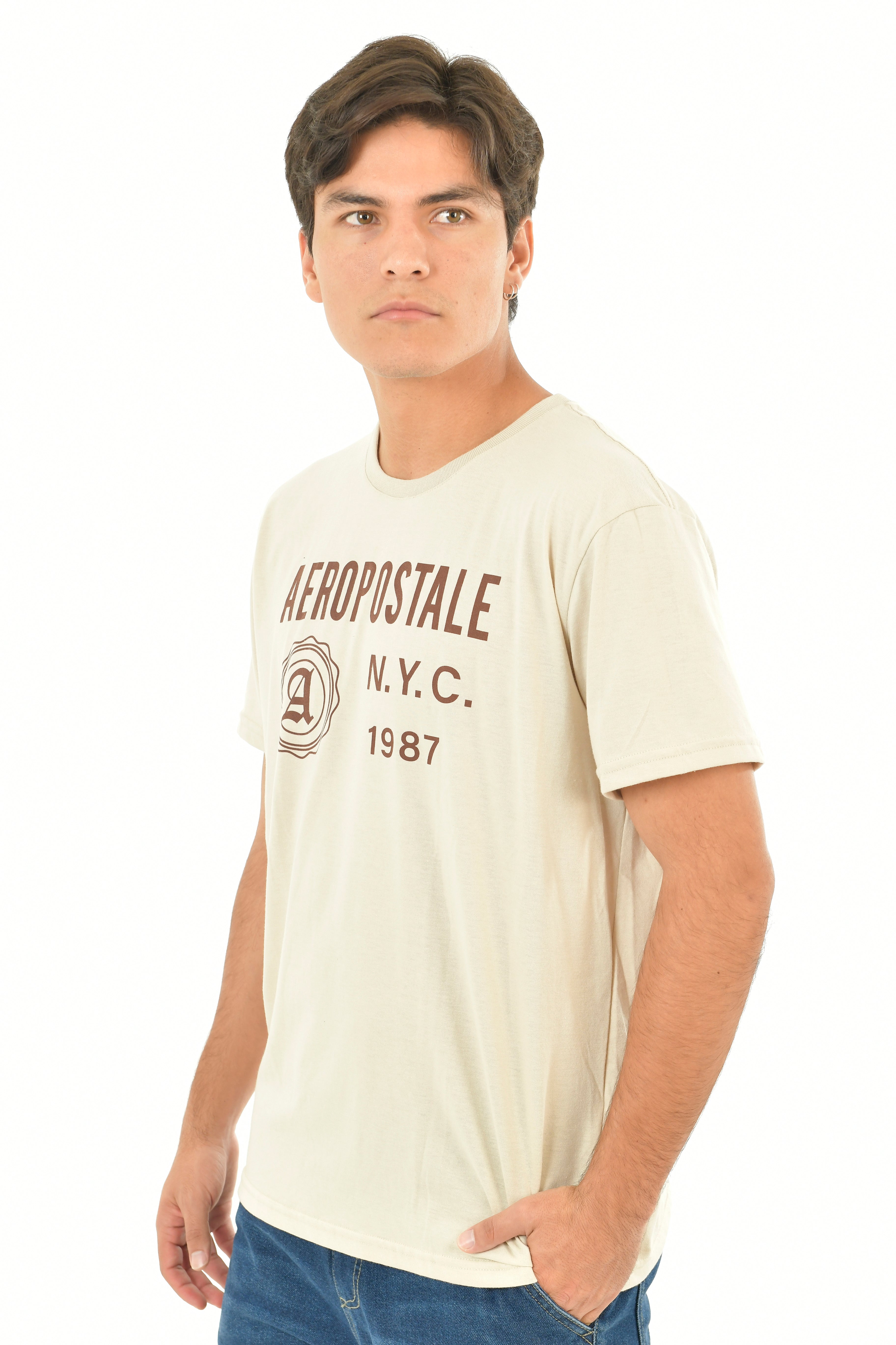 Camiseta Para Hombre Aero Level 1 Graphic Tees Tofu 3823