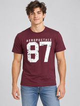 Camiseta Para Hombre Aero Level 1 Graphic Tees Port Royale 6271