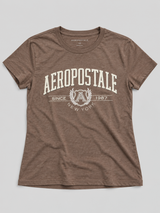 Camiseta Para Hombre Aero Level 2 Graphic Teeshot Chocolate 6178