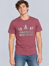 Camiseta Para Hombre Aero Level 2 Graphic  Tees Pomegranate 5301