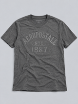 Camiseta Para Hombre  Aero Level 2 Graphic Tees Charcoal Heather 3650