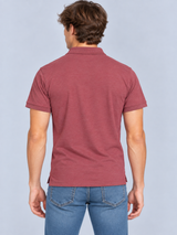 Camiseta Polo Para Hombre Aero Guys Ss Solid Polo Pomegreanate 7907