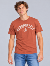 Camiseta Para Hombre Aero Level 1 Graphic Tees Terracota 6188