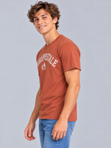 Camiseta Para Hombre Aero Level 1 Graphic Tees Terracota 6188