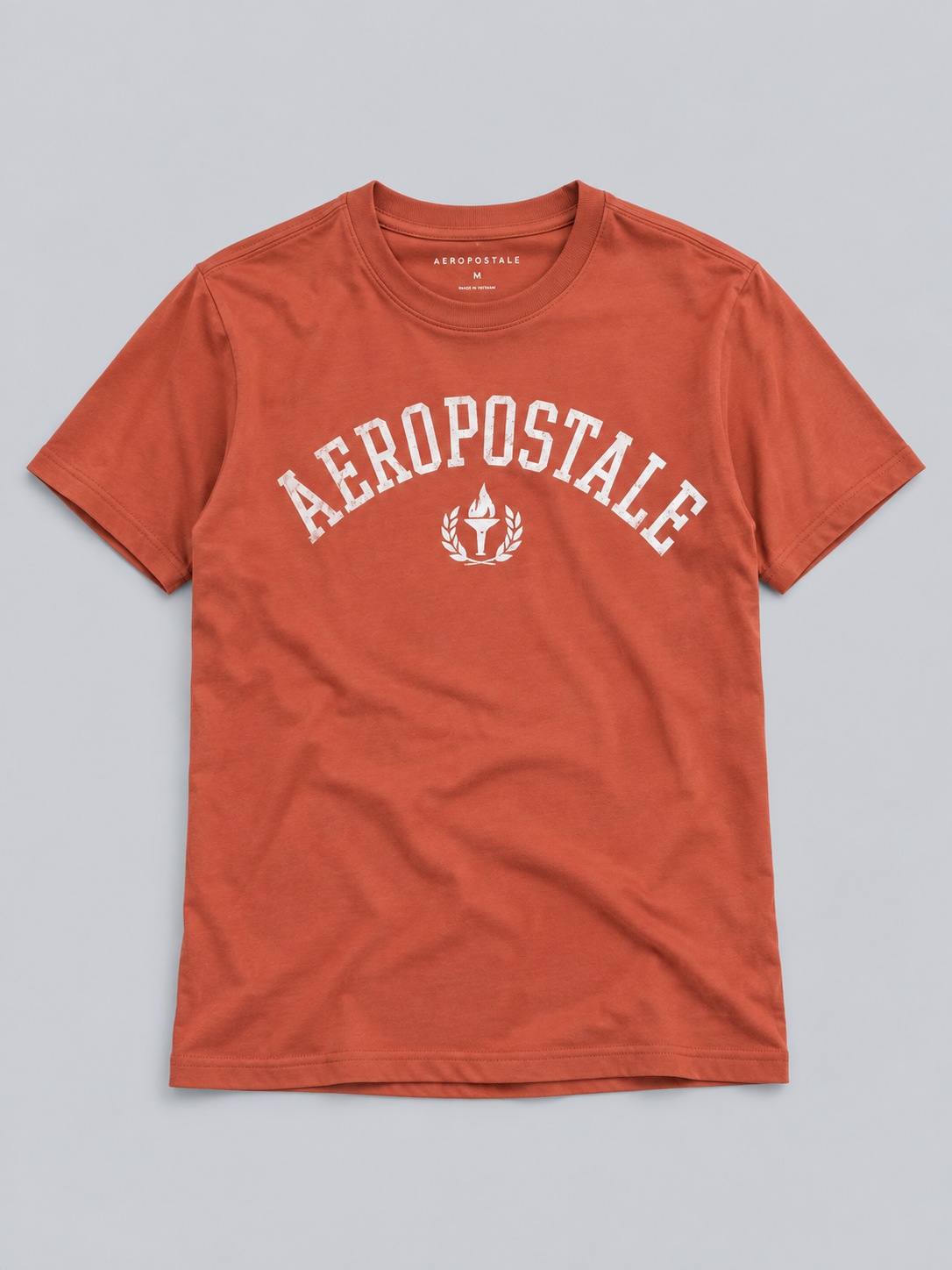 Camiseta Para Hombre Aero Level 1 Graphic Tees Terracota 6188