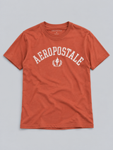 Camiseta Para Hombre Aero Level 1 Graphic Tees Terracota 6188