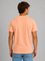 Camiseta Para Hombre Aero Level 2 Graphic Tees Papaya Punch 6258