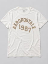 Camiseta Para Hombre  Aero Level 2 Graphic Tees Birch 6223