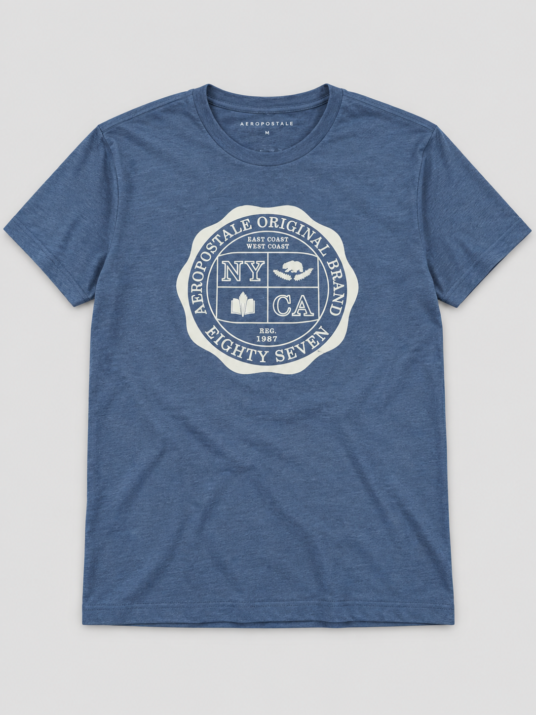 Camiseta Para Hombre  Aero Level 2 Graphic Tees Celestial 6203