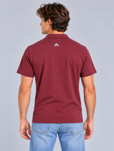 Camiseta Polo Aero Guys Polo Other Pomegranate 1599