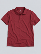 Camiseta Polo Aero Guys Polo Other Pomegranate 1599