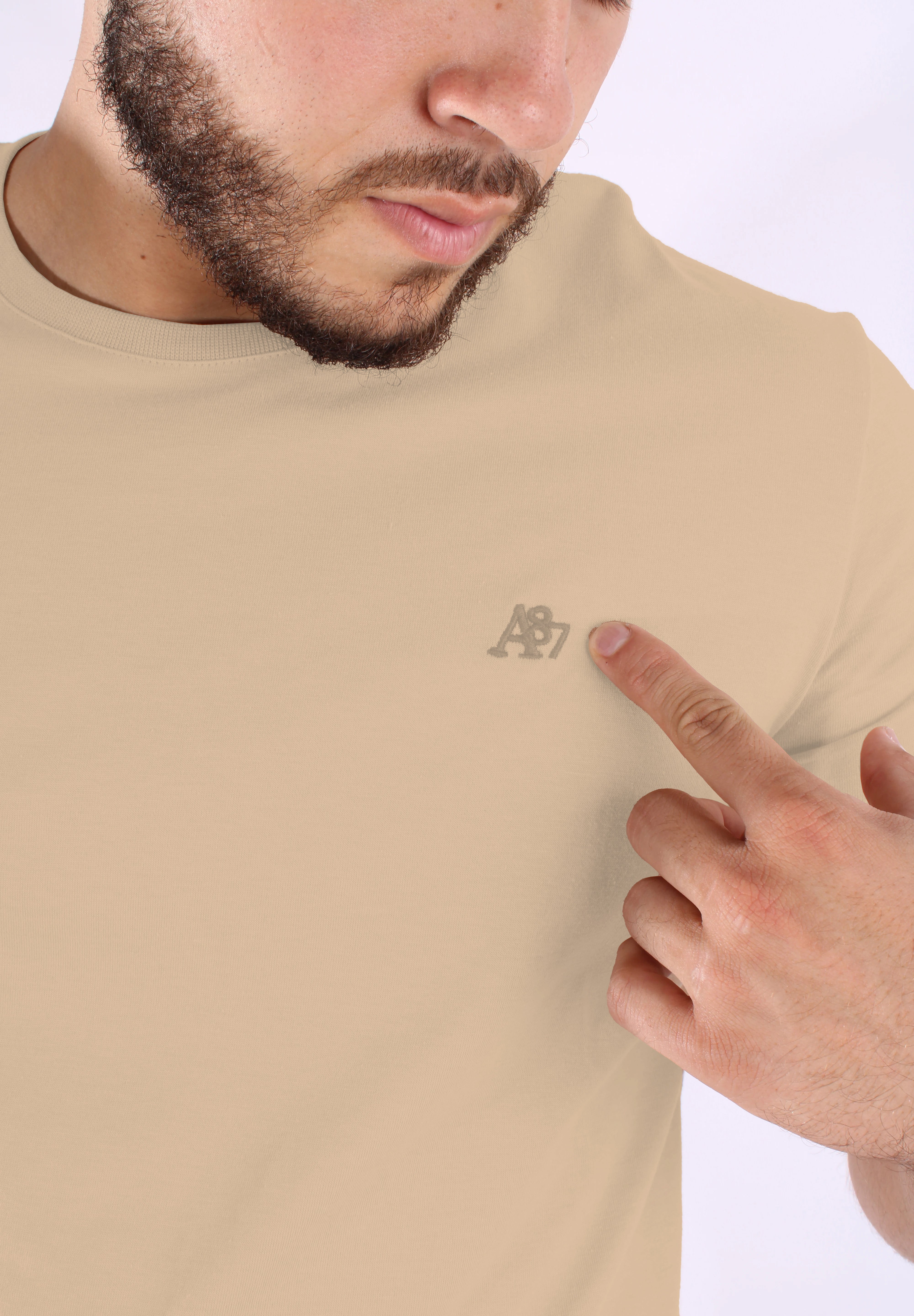 Camiseta Básica Para Hombre Aero Guys SS Tees Chanterelle 4240