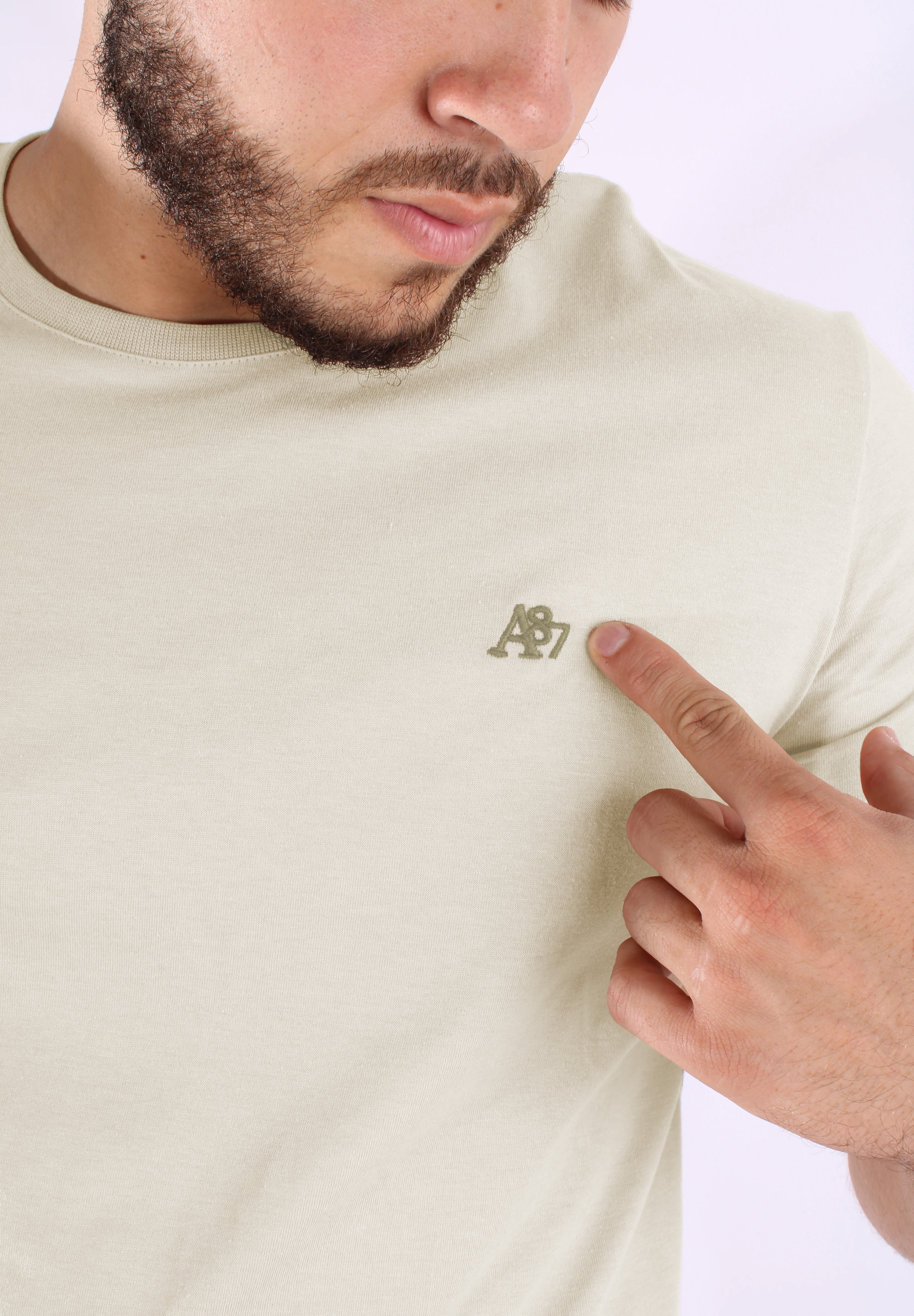 Camiseta Básica Para Hombre Aero Guys SS Tees Egret 4240