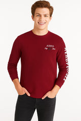 Buzo Para Hombre Aero Guys LS Other Earth Red 4413