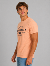 Camiseta Para Hombre Aero Level 2 Graphic Tees Papaya Punch 6258
