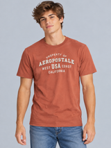 Camiseta Para Hombre Aero Level 2 Graphic Tees Terracota 6258