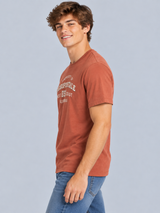Camiseta Para Hombre Aero Level 2 Graphic Tees Terracota 6258
