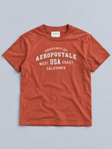 Camiseta Para Hombre Aero Level 2 Graphic Tees Terracota 6258