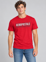 Camiseta Para Hombre Aero Level 2 Graphic Tees True Red 6276