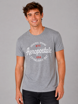 Camiseta Para Hombre Aero Level 1 Graphic Tees Light Heather Grey 7114