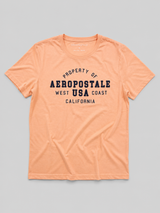 Camiseta Para Hombre Aero Level 2 Graphic Tees Papaya Punch 6258