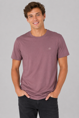 Camiseta Para Hombre Aero Guys SS Tees Flint 4240