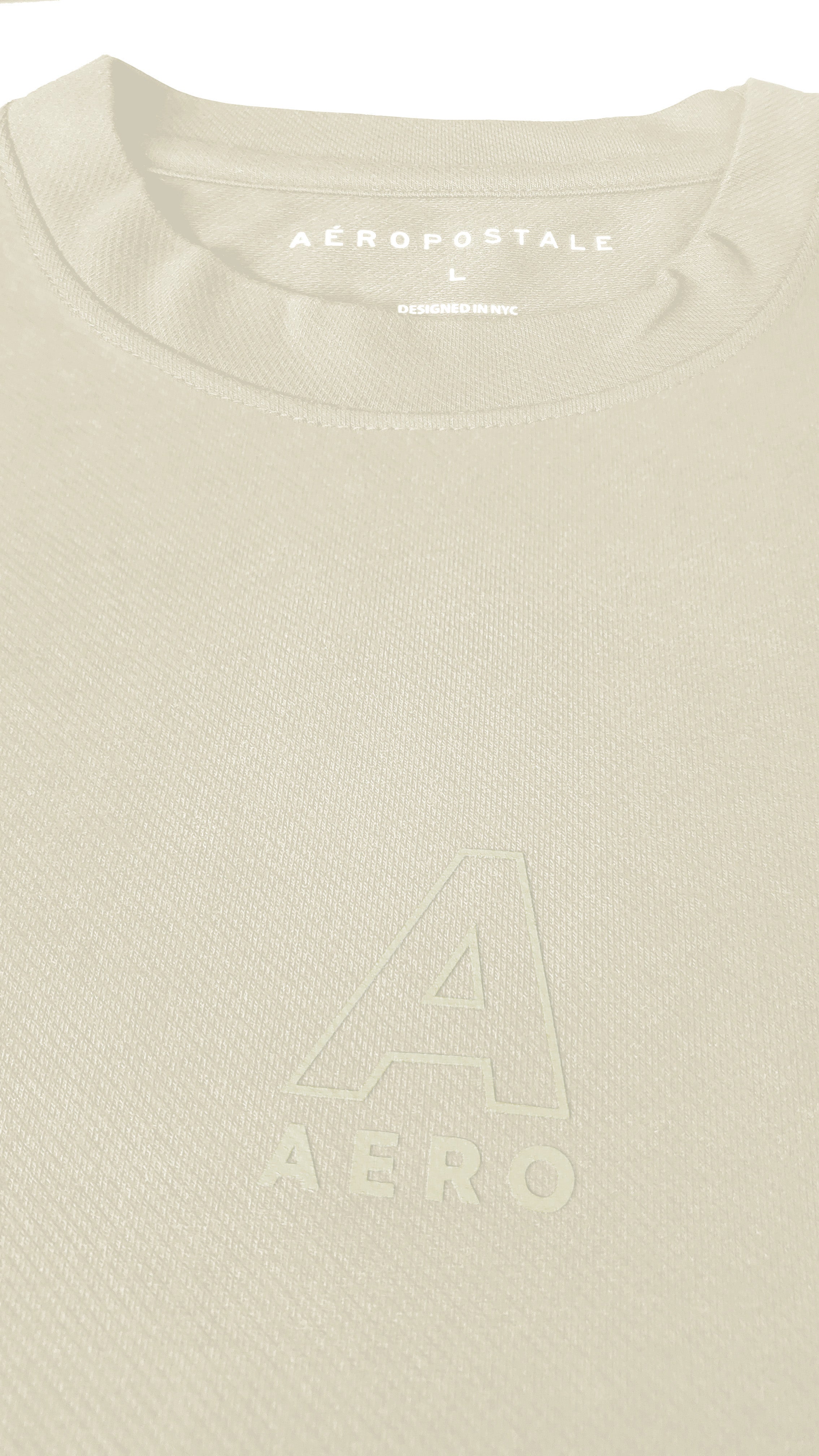 Camiseta Para Hombre Aero BC Fleece Egret 9879