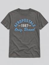 Camiseta Para Hombre Aero Level 2 Graphic Tees Smoked Pearl 6234