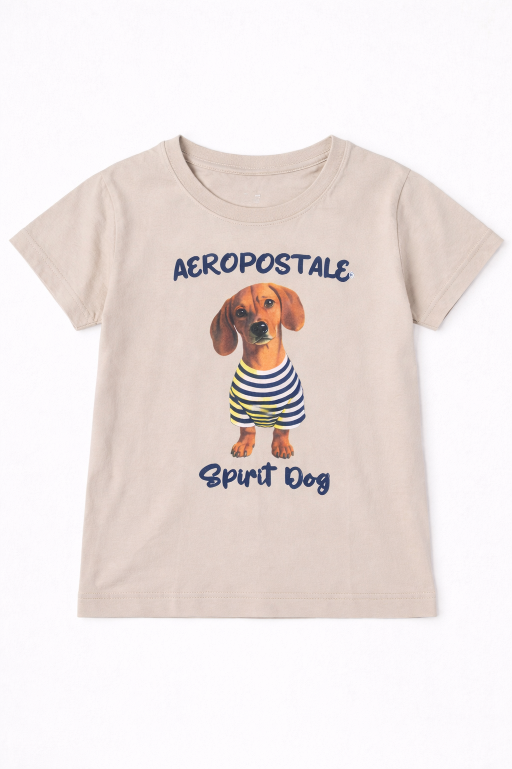 Camiseta de manga corta Aero G SS Level 2 Graphics Oatmeal 1156