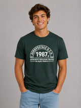Camiseta Para Hombre Aero Level 2 Graphic Tees Green Gables 5769