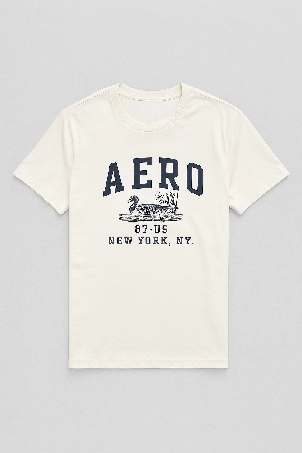 Camiseta Para Hombre Aero Level 1 Graphic Tees Birch 6214