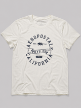 Camiseta Para Hombre Aero Level 2 Graphic Tees Birch 6249