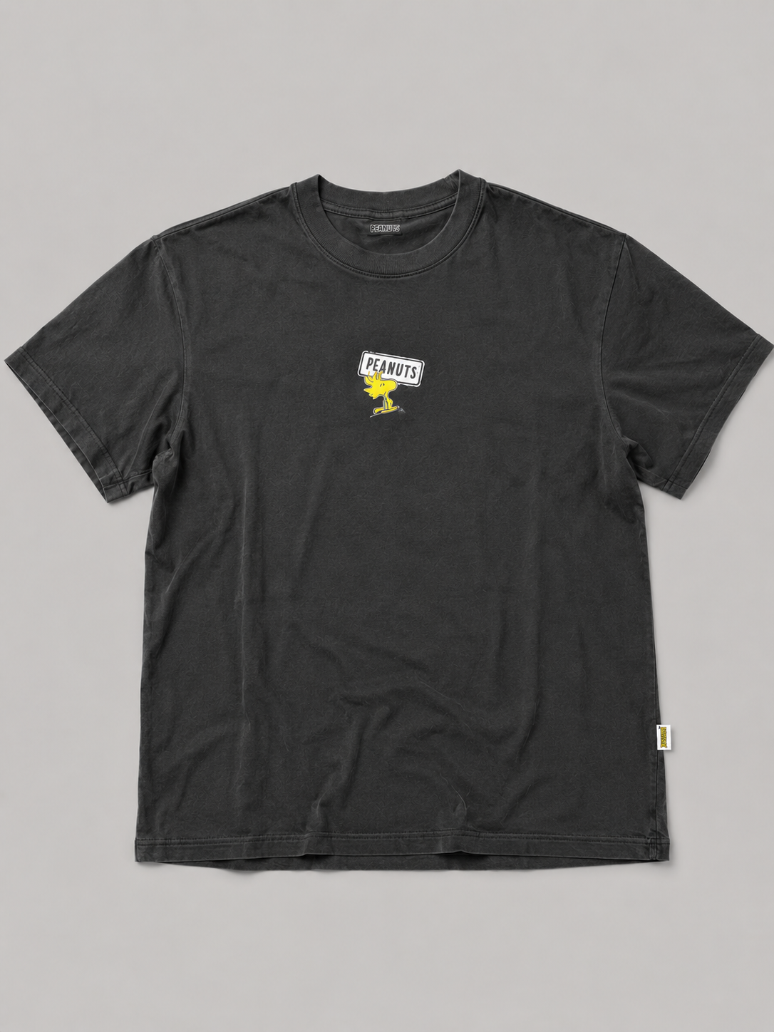 Camiseta para Hombre Peanuts Guys Fashion Graphics Smoked Pearl Relax PEANUTS345