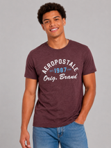 Camiseta para Hombre Aero Level 2 Graphic Tees Port Royale 6234