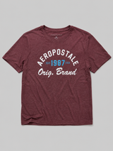 Camiseta para Hombre Aero Level 2 Graphic Tees Port Royale 6234