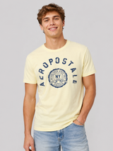 Camiseta Para Hombre Aero Level 1 Graphic Tees Yellow Mist 4619