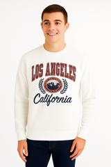 Buzo Para Hombre Aero Guys Fleece Other Birch 5928