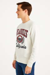 Buzo Para Hombre Aero Guys Fleece Other Birch 5928