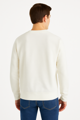 Buzo Para Hombre Aero Guys Fleece Other Birch 5928