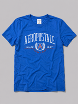 Camiseta Para Hombre Aero Level 2 Graphic Tees French Blue 6178