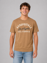 Camiseta Para Hombre Aero Level 2 Graphic Tees Banana 4604
