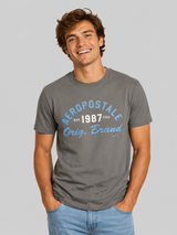 Camiseta Para Hombre Aero Level 2 Graphic Tees Smoked Pearl 6234
