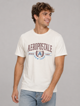 Camiseta Para Hombre Aero Level 2 Graphic Tees Birch 6178